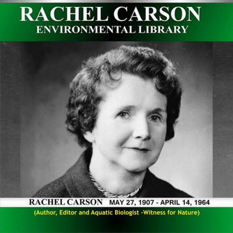 Environmental Knowledge Development through the Establishment of Rachel Carson Environmental Library