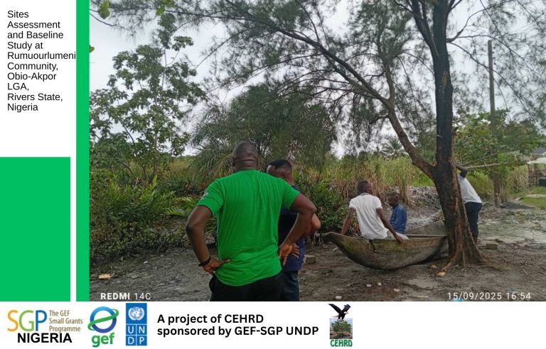 CEHRD Conducts Site assessment and Baseline study in Rumourlumeni community in Obio-Akpor Local Government Area, Rivers State, Nigeria