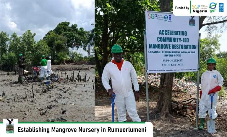 CEHRD Established Mangroved Nursery Site in Rumuorlumeni Community, Rivers State