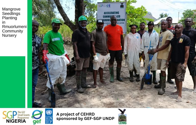 Mangrove Restoration: CEHRD Plants 1500 Mangrove Seedlings In Rumuorlumeni Community