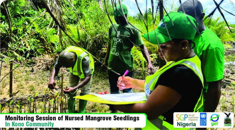 CEHRD Carries out Monitoring Session On Mangrove Nursery Site in Kono Community